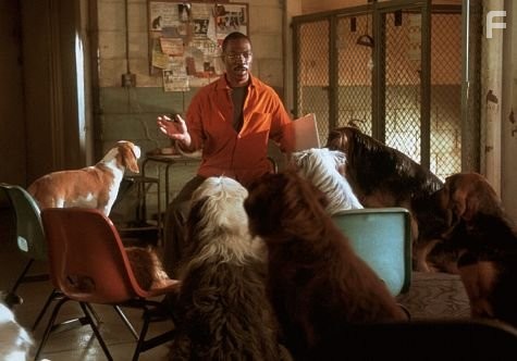 Eddie Murphy in Доктор Дулиттл 2 (2001)