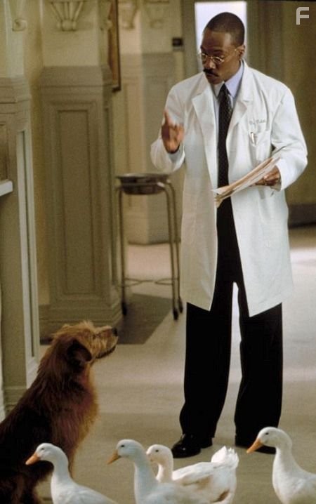 Eddie Murphy in Доктор Дулиттл 2 (2001)