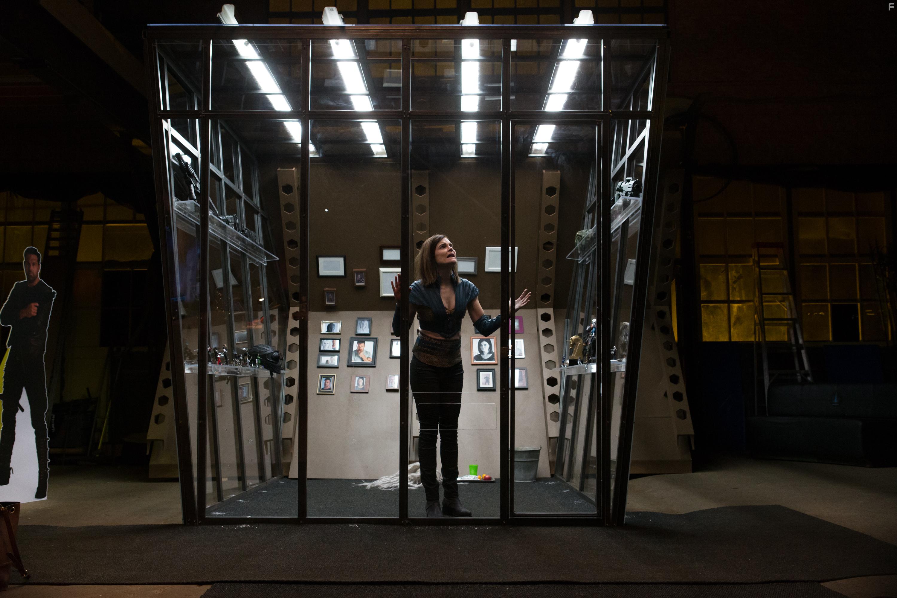 Betsy Brandt in FANatic (2017)