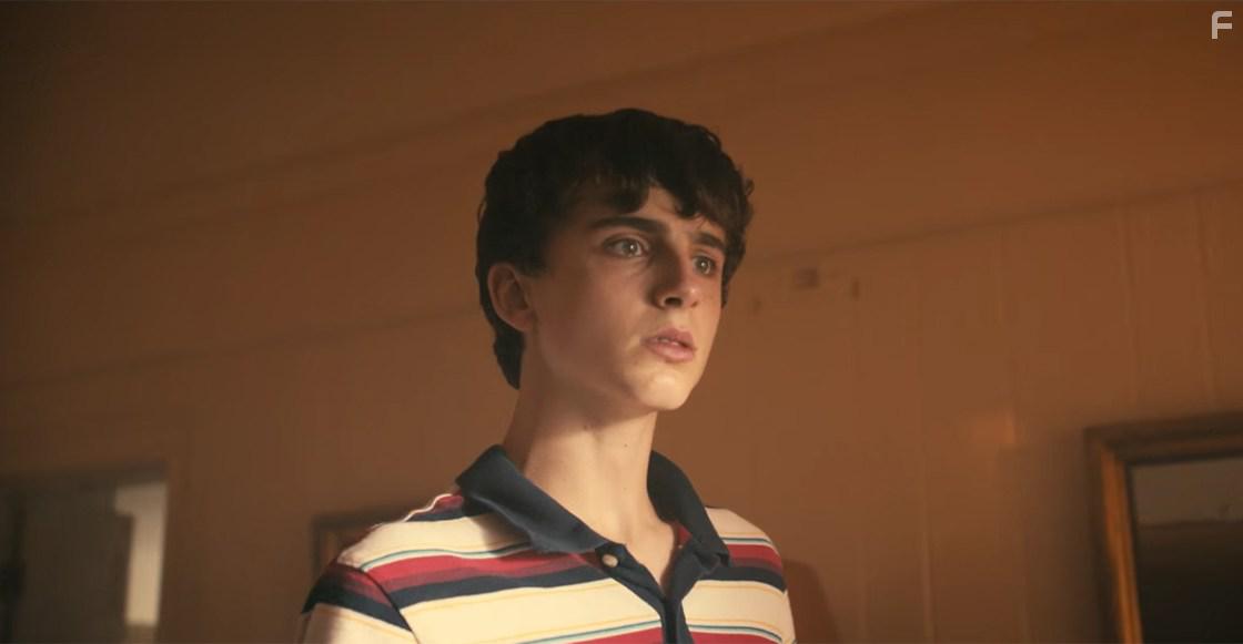 Timothe Chalamet in Hot Summer Nights (2017)
