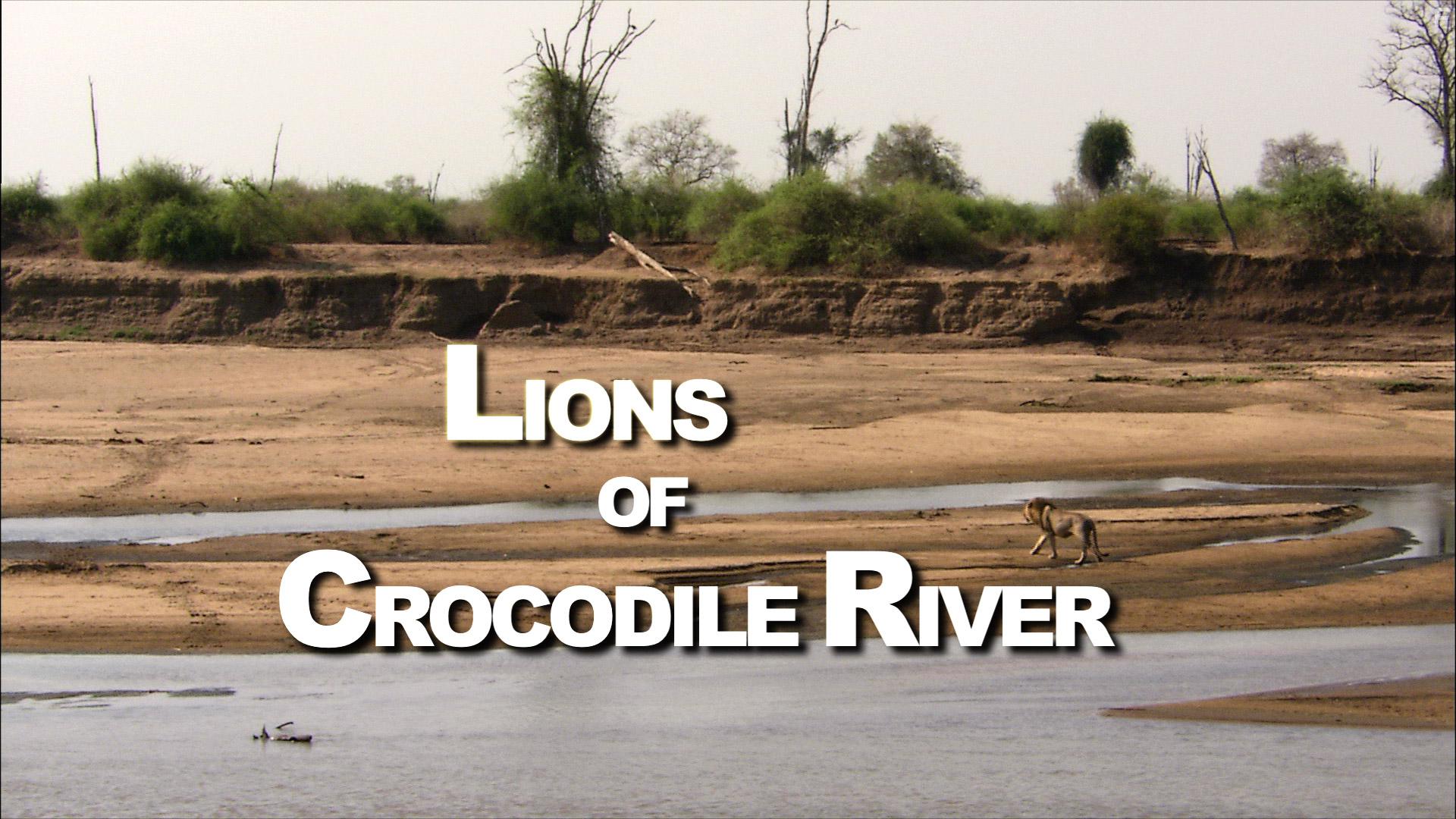 Lions of Crocodile River (2007)