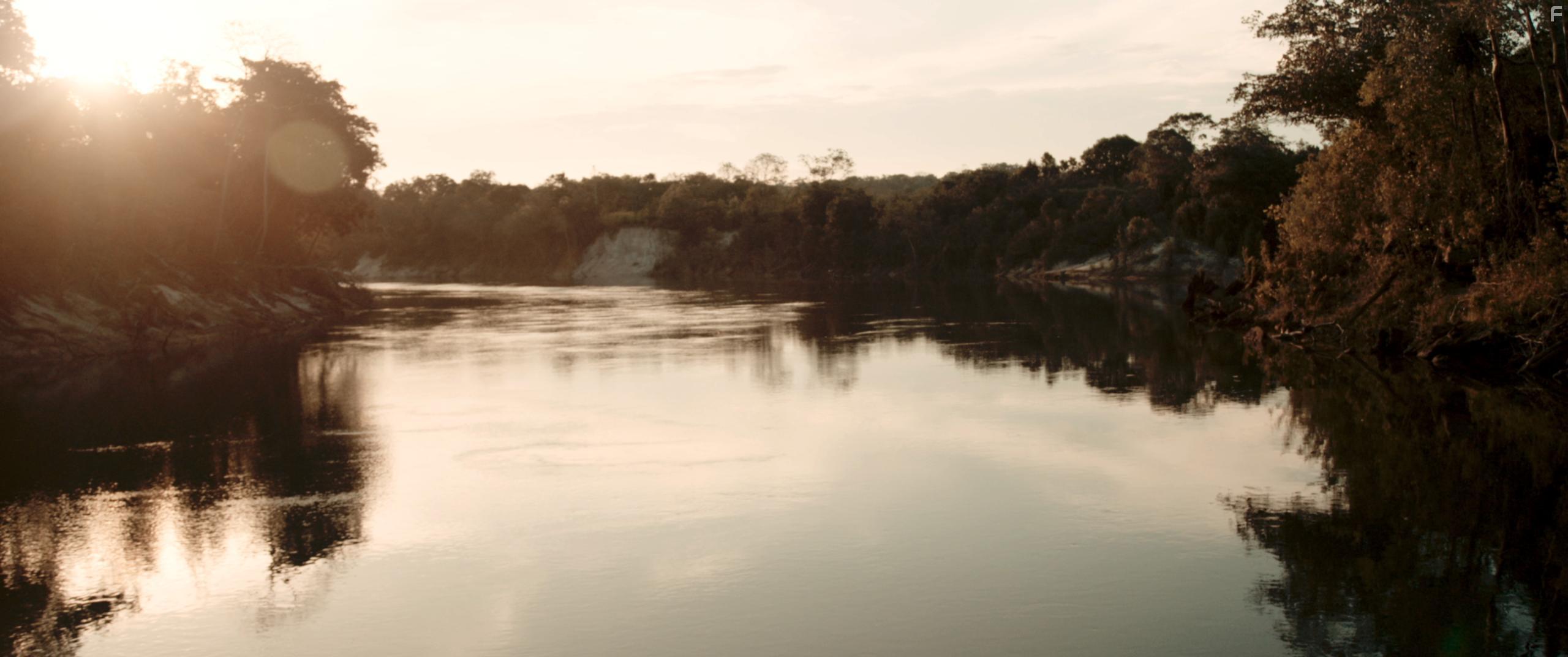 Tawai: A Voice from the Forest (2017)