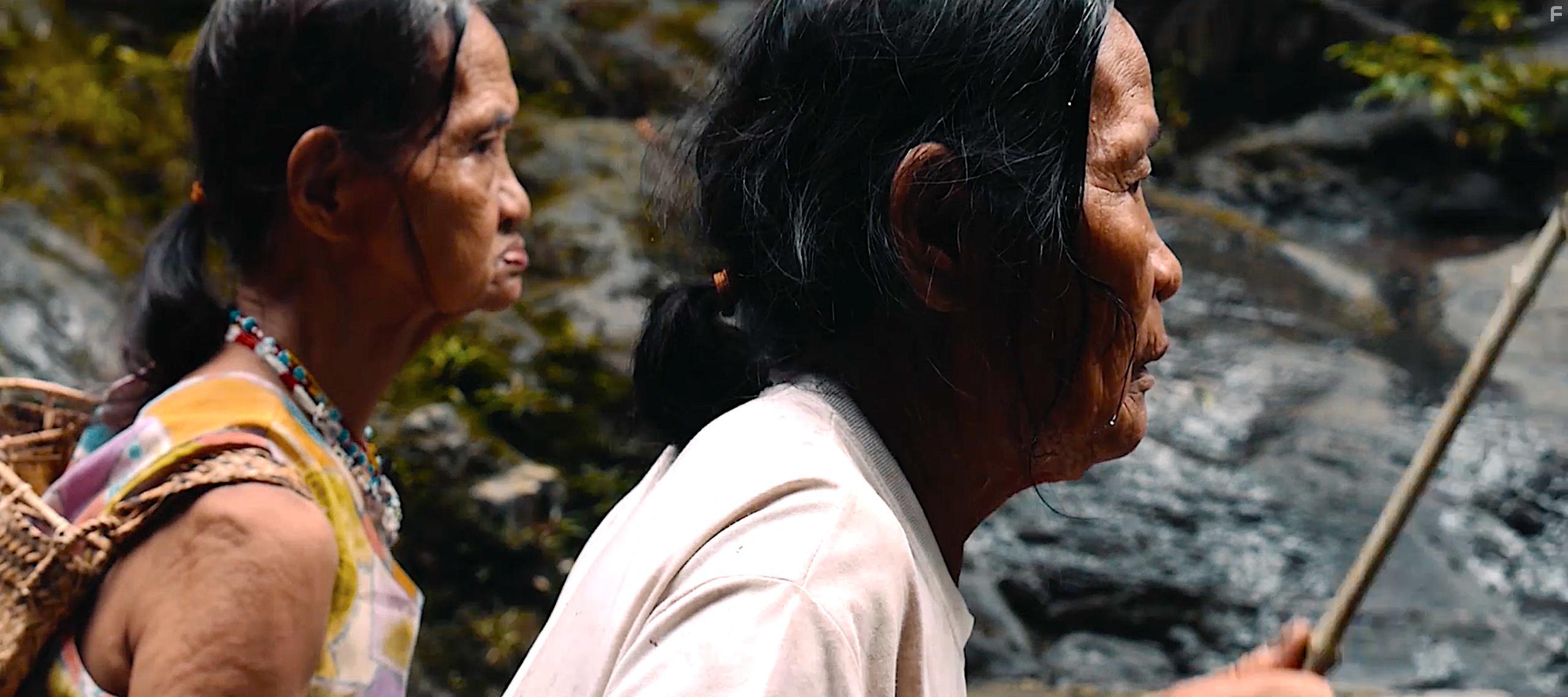 Tawai: A Voice from the Forest (2017)