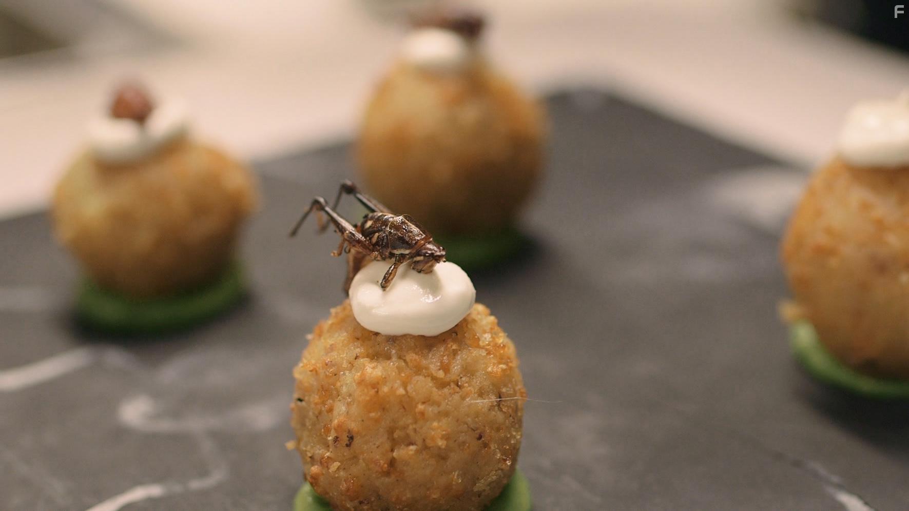 The Gateway Bug (2017)