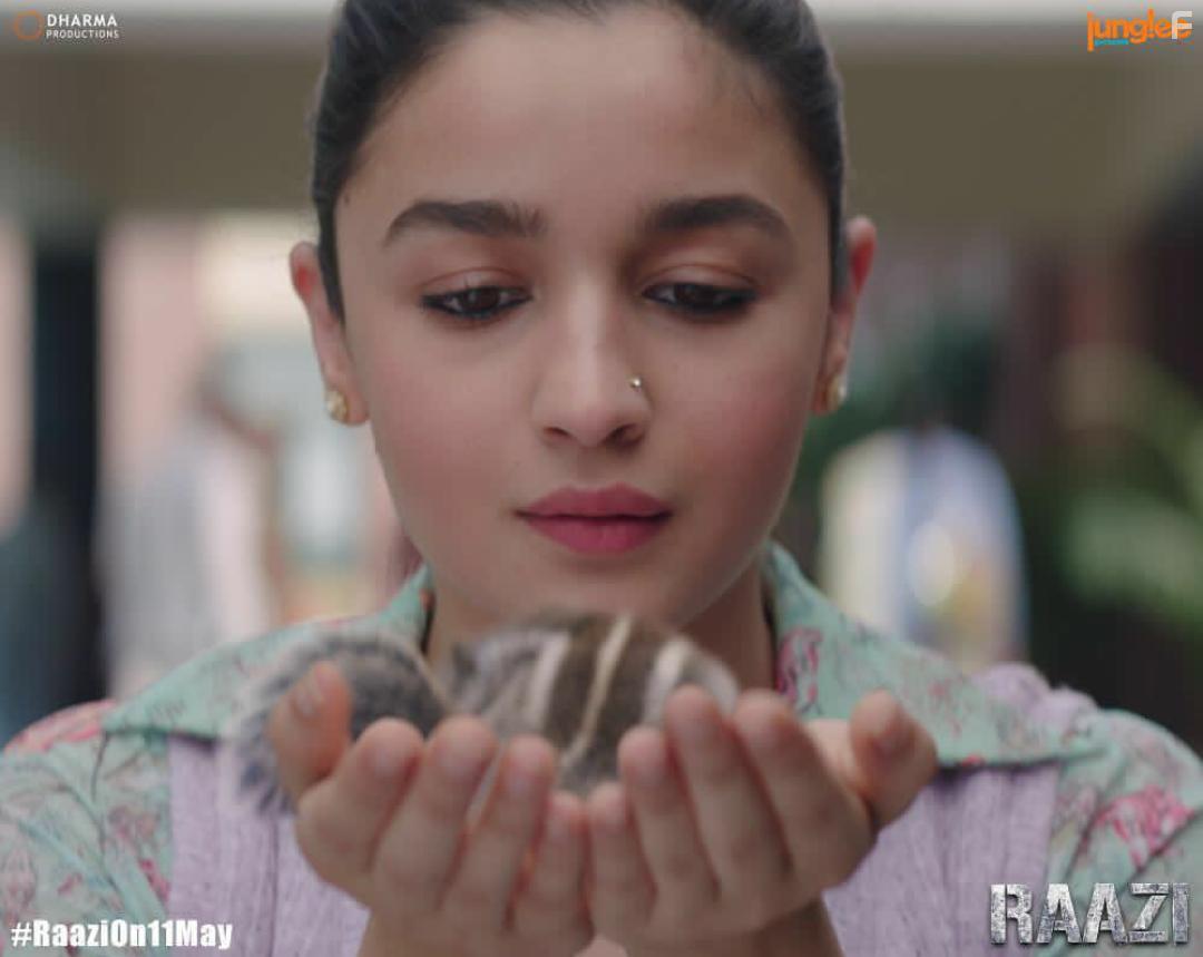 Alia Bhatt in Raazi (2018)
