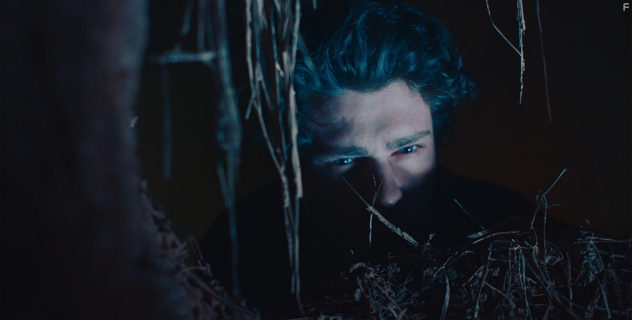 Michael Patrick Nicholson in Are We Not Cats (2016)