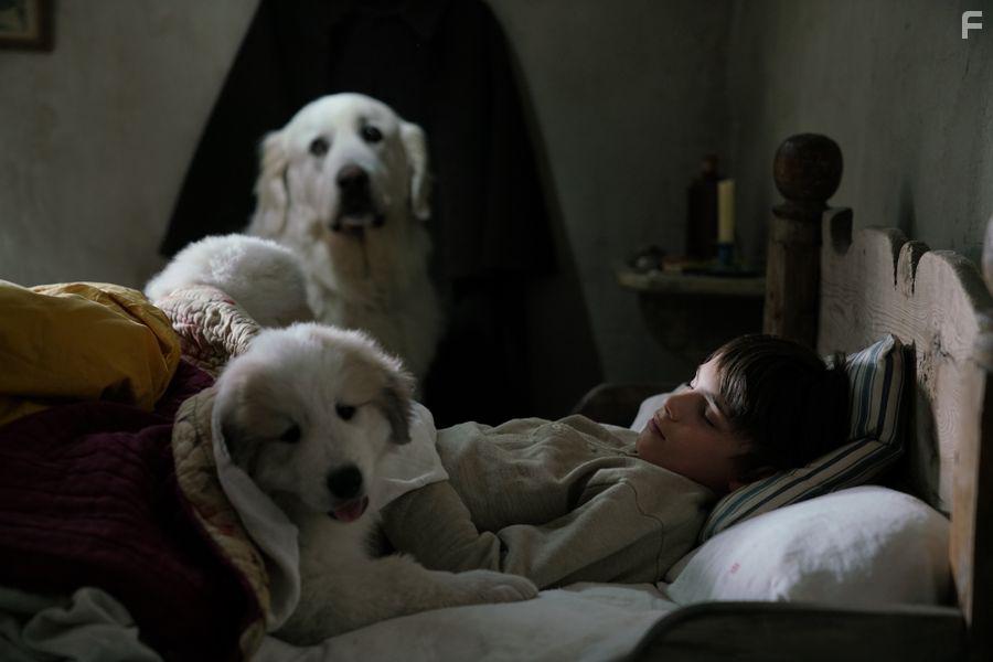 Flix Bossuet in Belle et Sbastien 3, le dernier chapitre (2017)