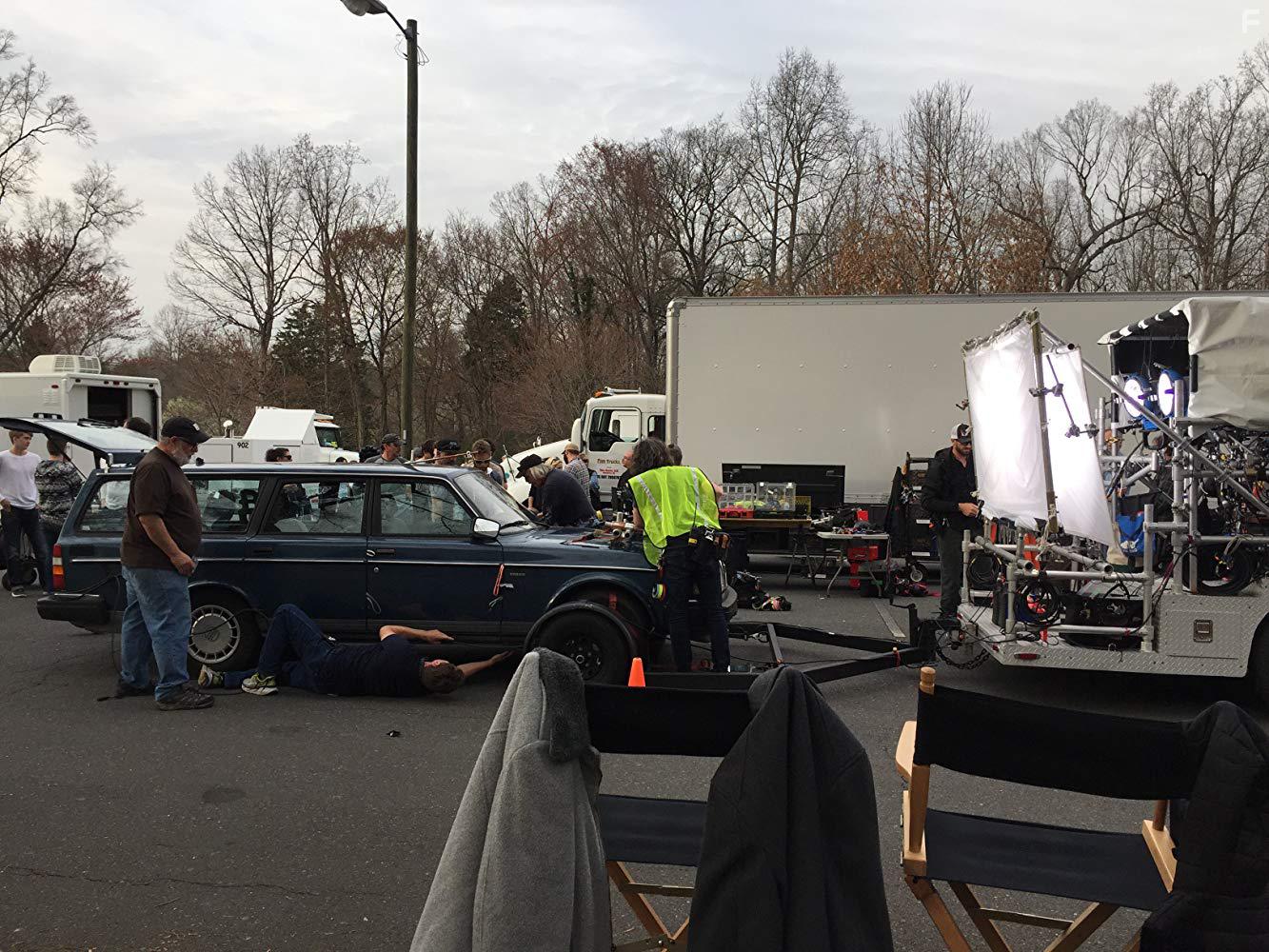 Американские животные #4