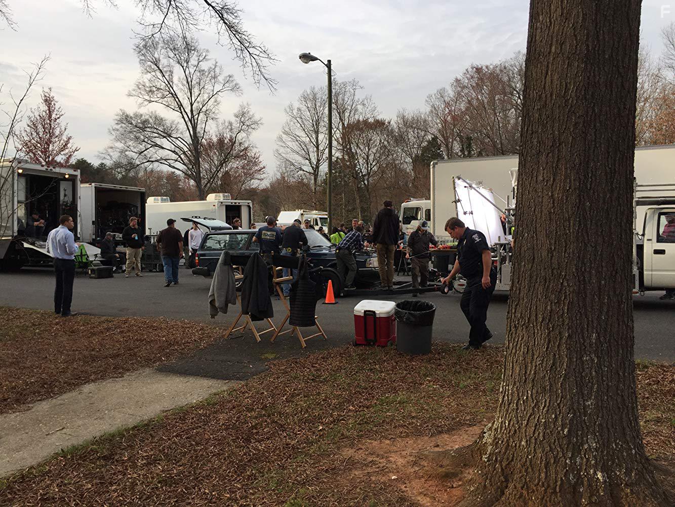 Американские животные #6