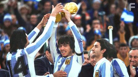 Становление чемпионов