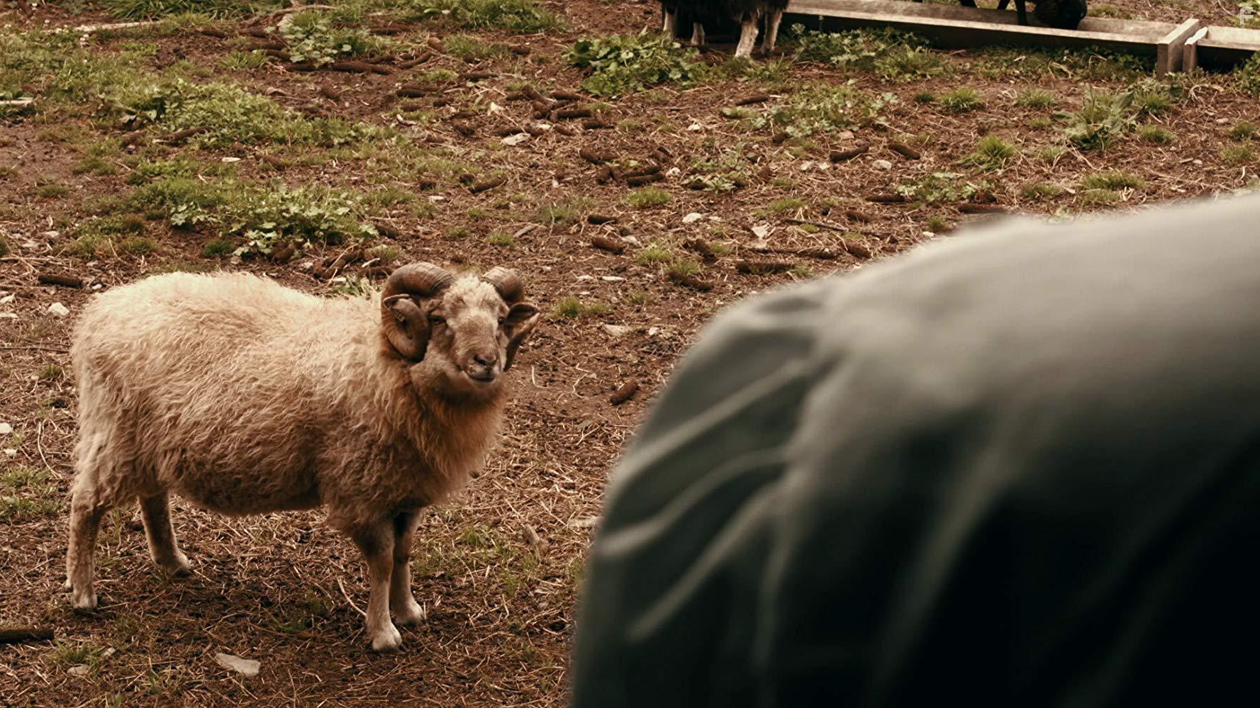 Магнетизм #1