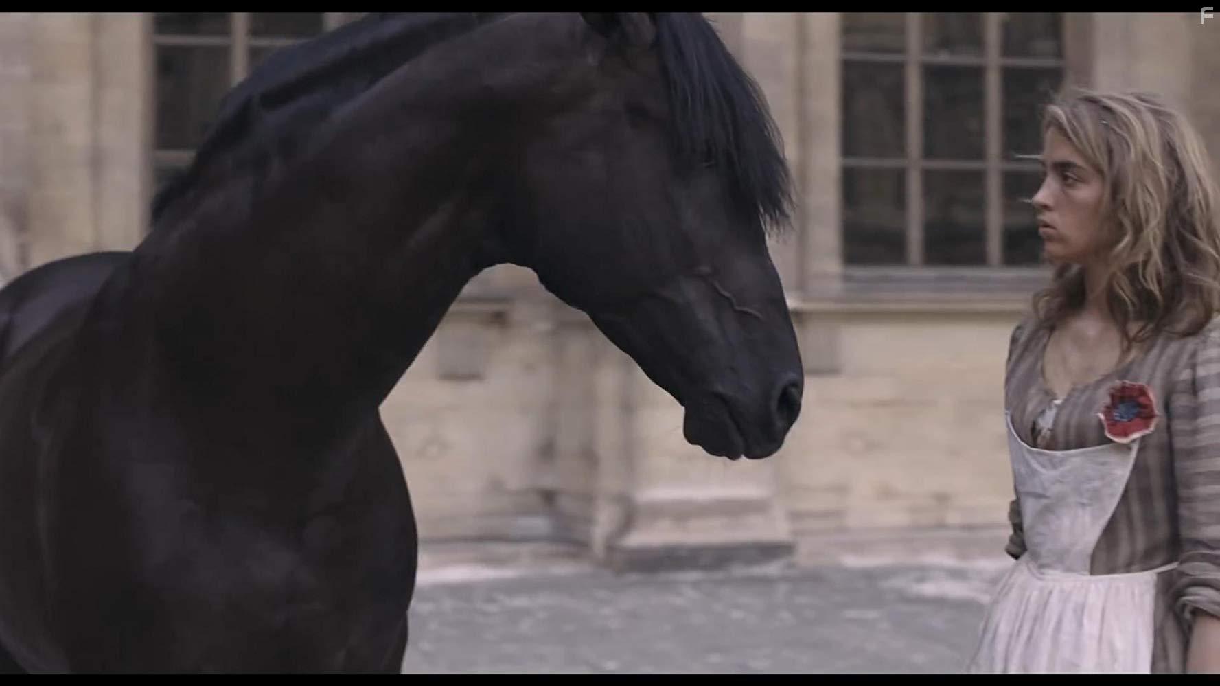 Один король — одна Франция #1