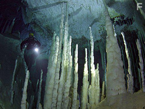 Дикая территория #3