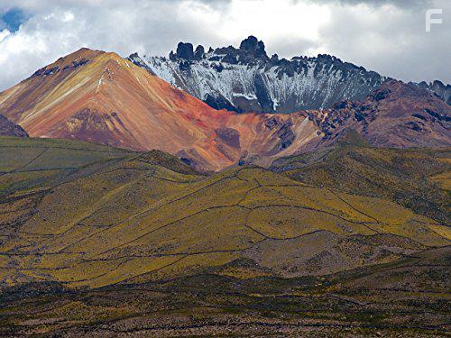 Дикая территория #5