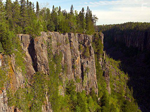 Дикая территория