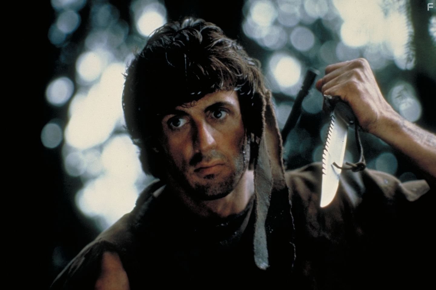 Sylvester Stallone in Первая кровь (1982)