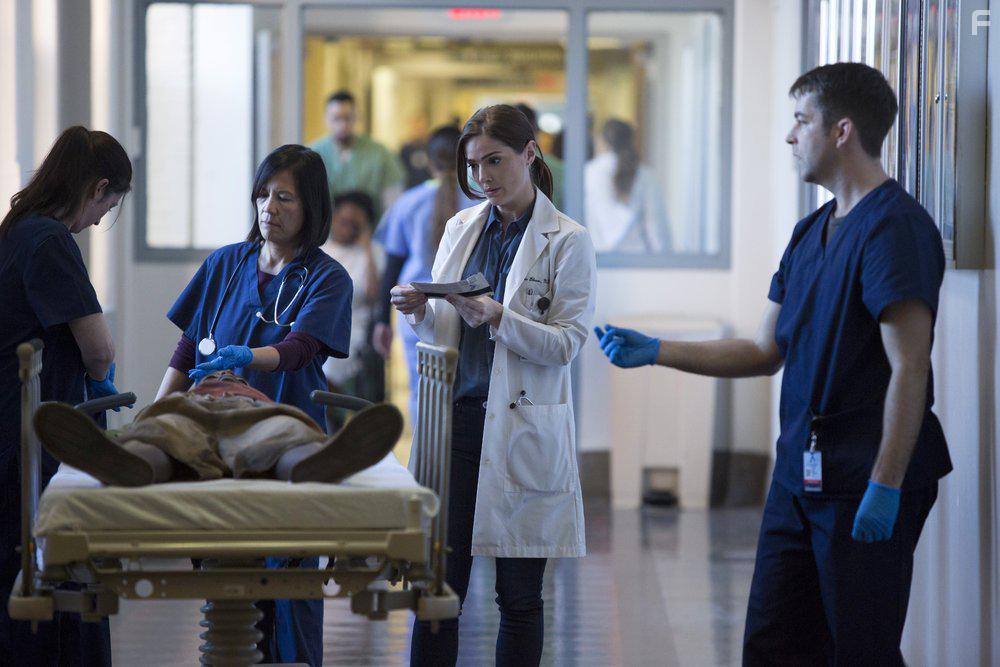 Новый Амстердам #1