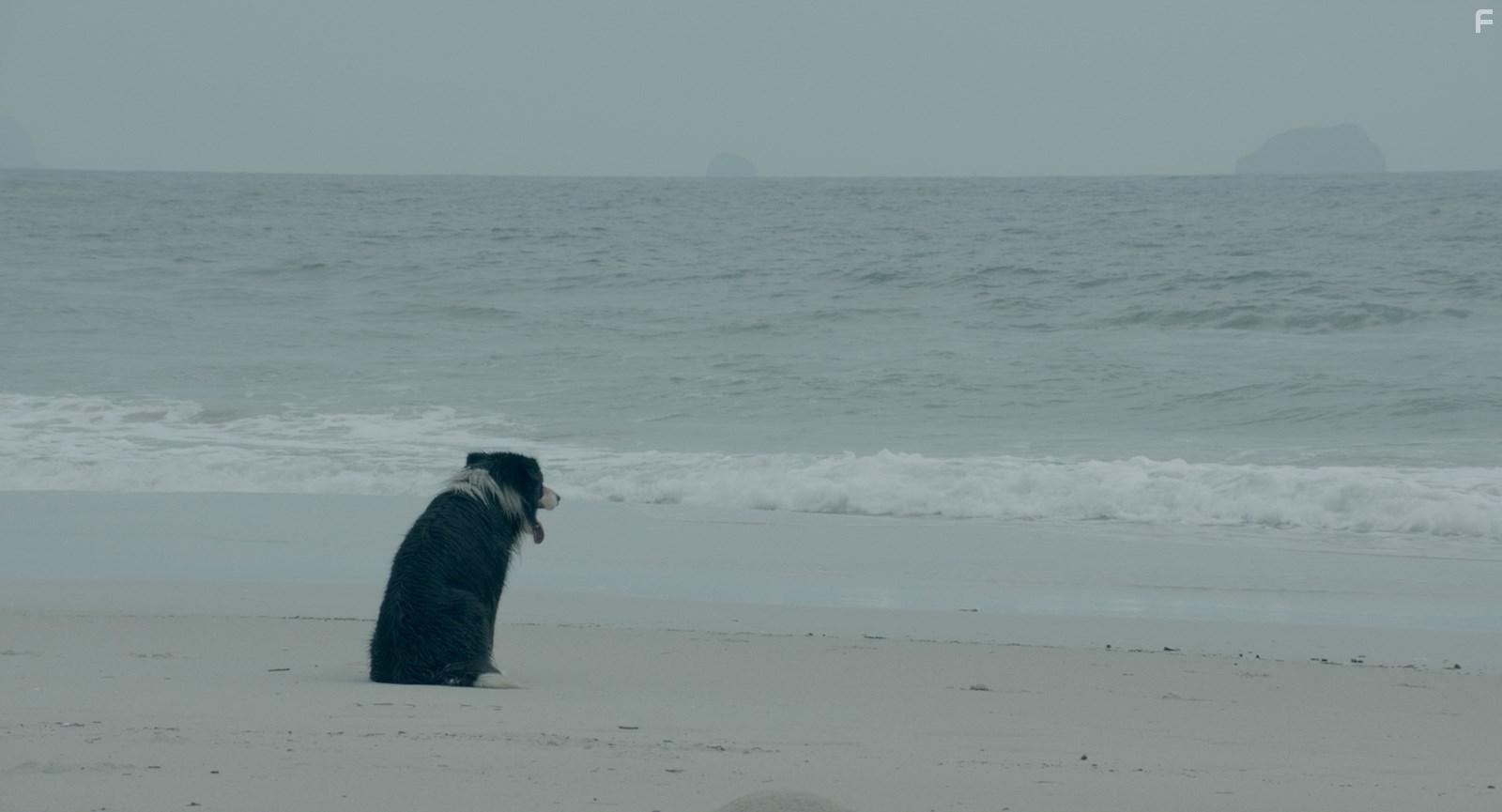 Семейный фильм #1