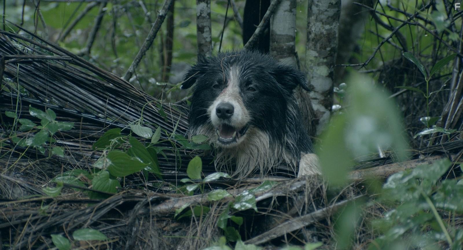 Семейный фильм #5