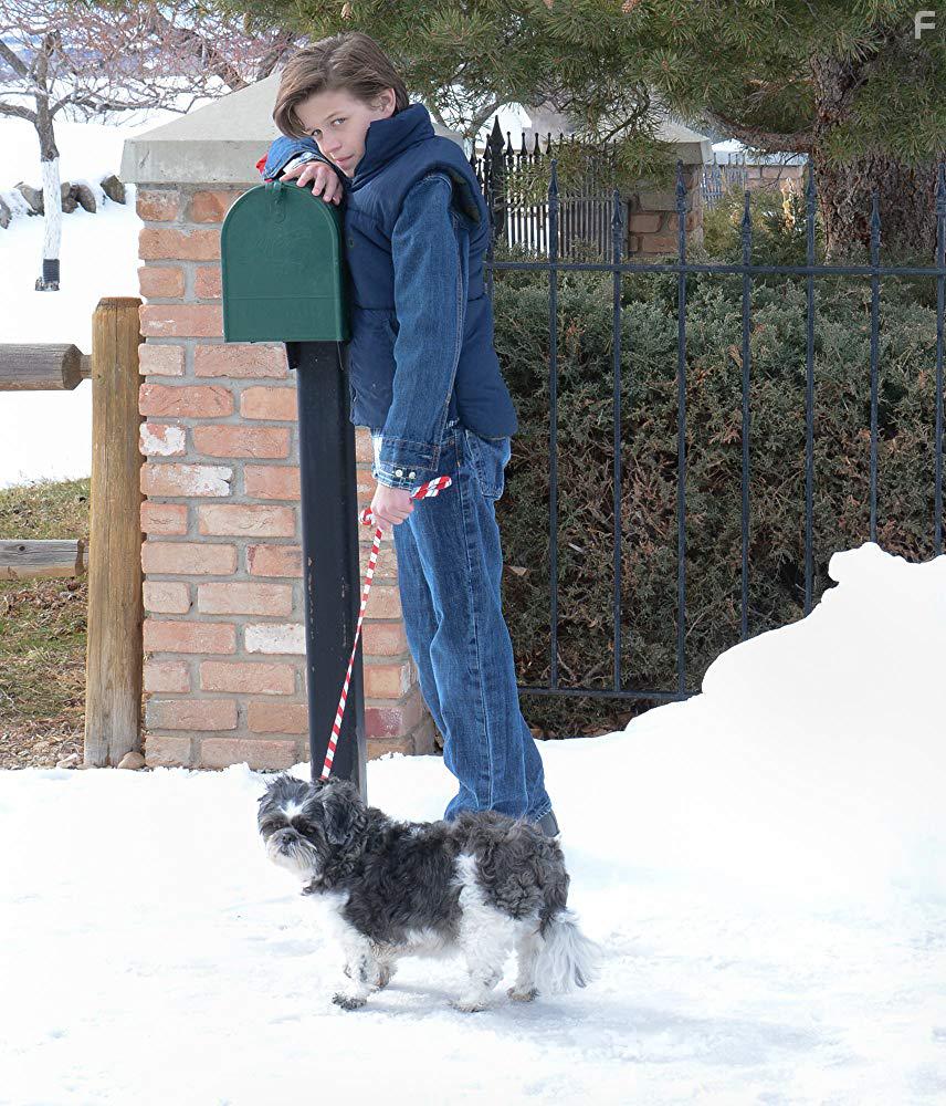 Рождественский проект #5