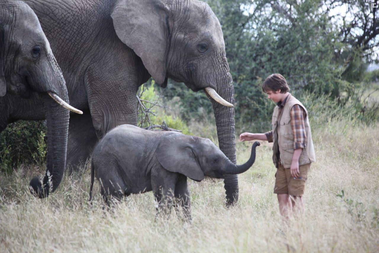 Большое путешествие слона #1