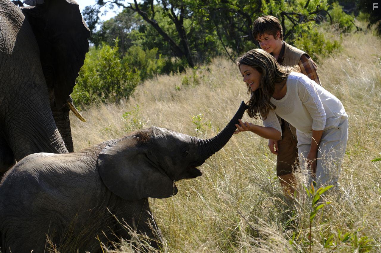 Большое путешествие слона #2