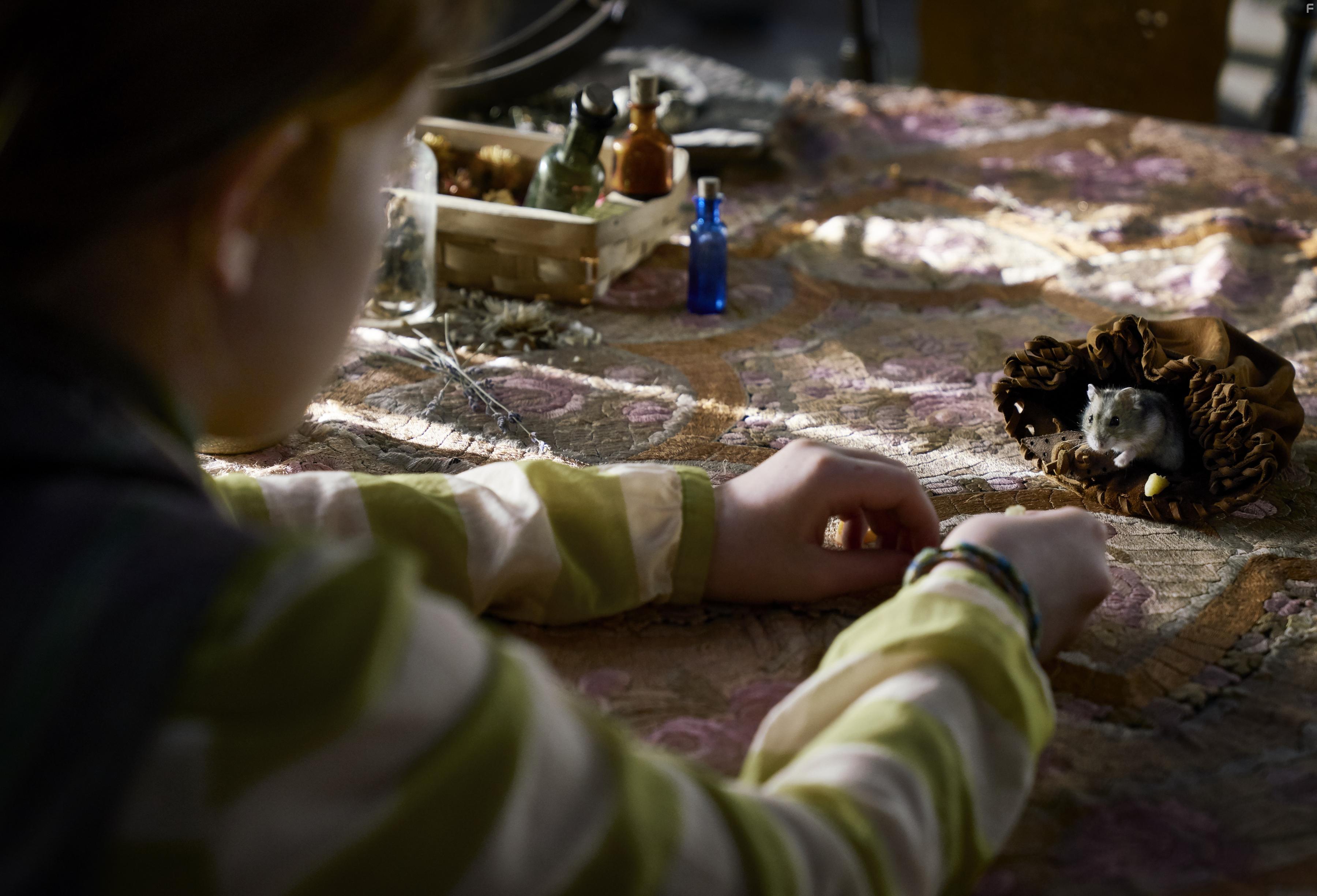 Чародейка #9