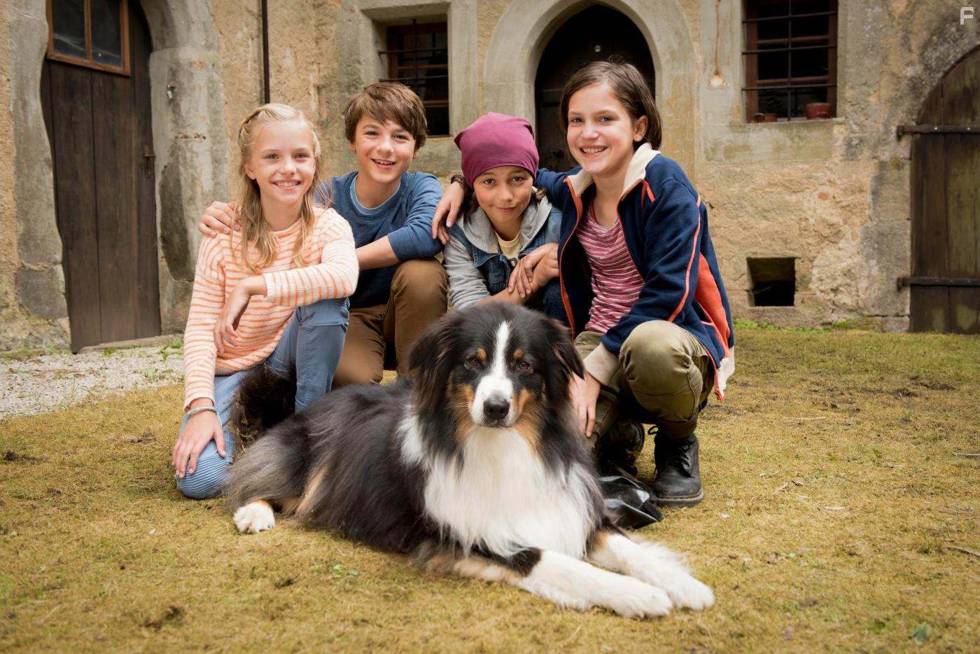 Пятеро друзей и долина динозавров