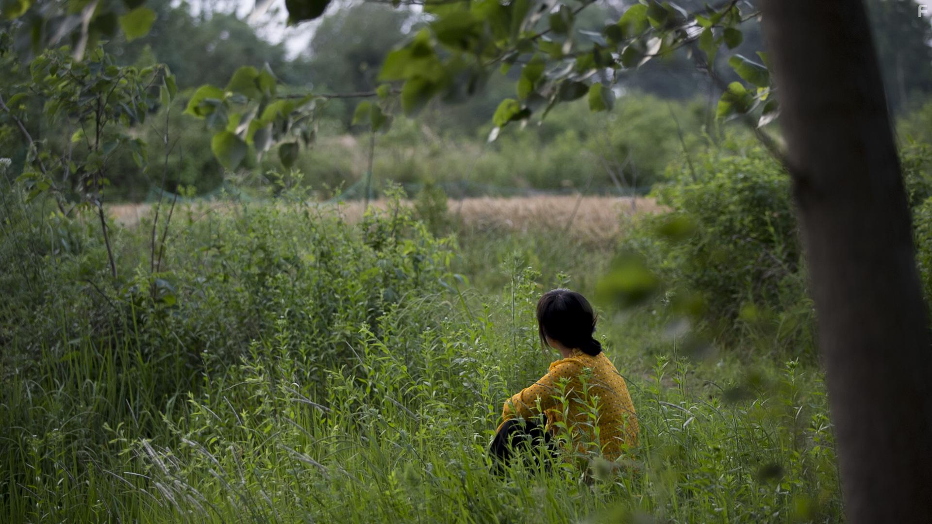 Этот шаткий мир