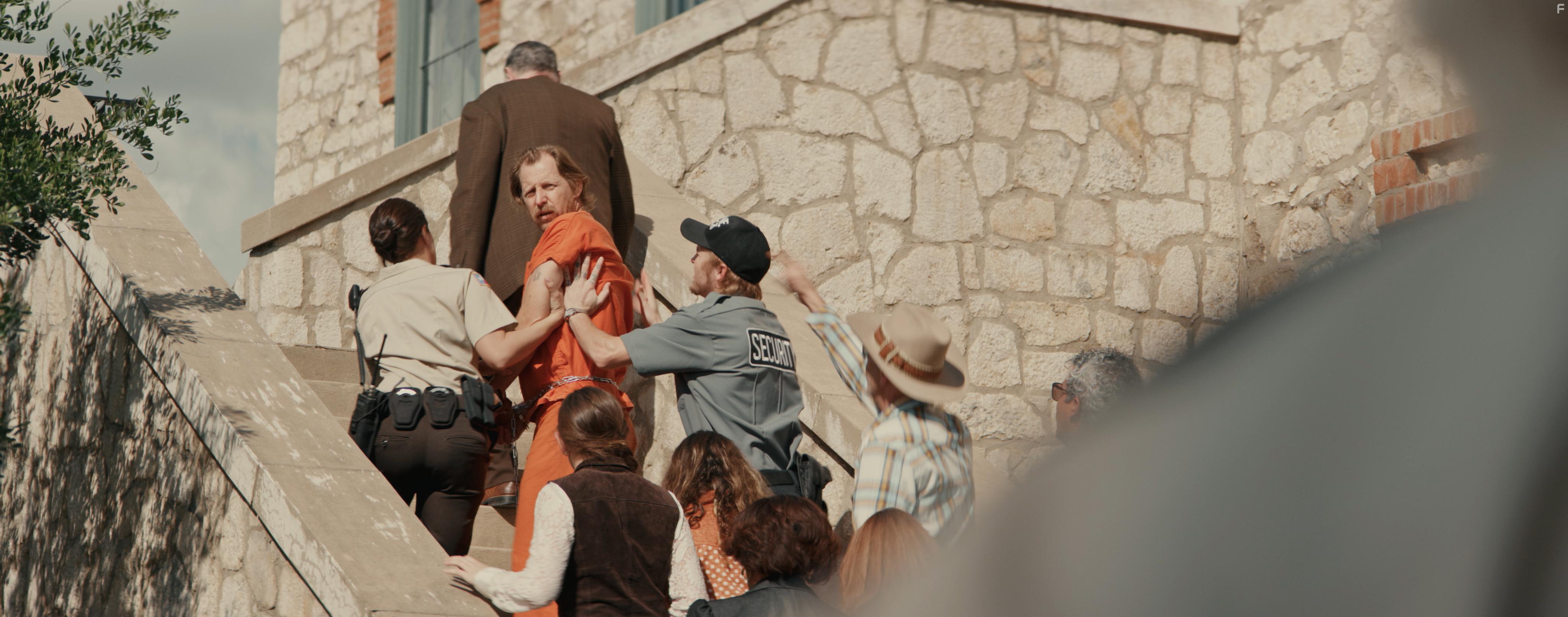 Lew Temple in Texas Cotton (2018)
