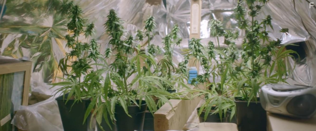 Damo & Ivor: The Movie (2018)