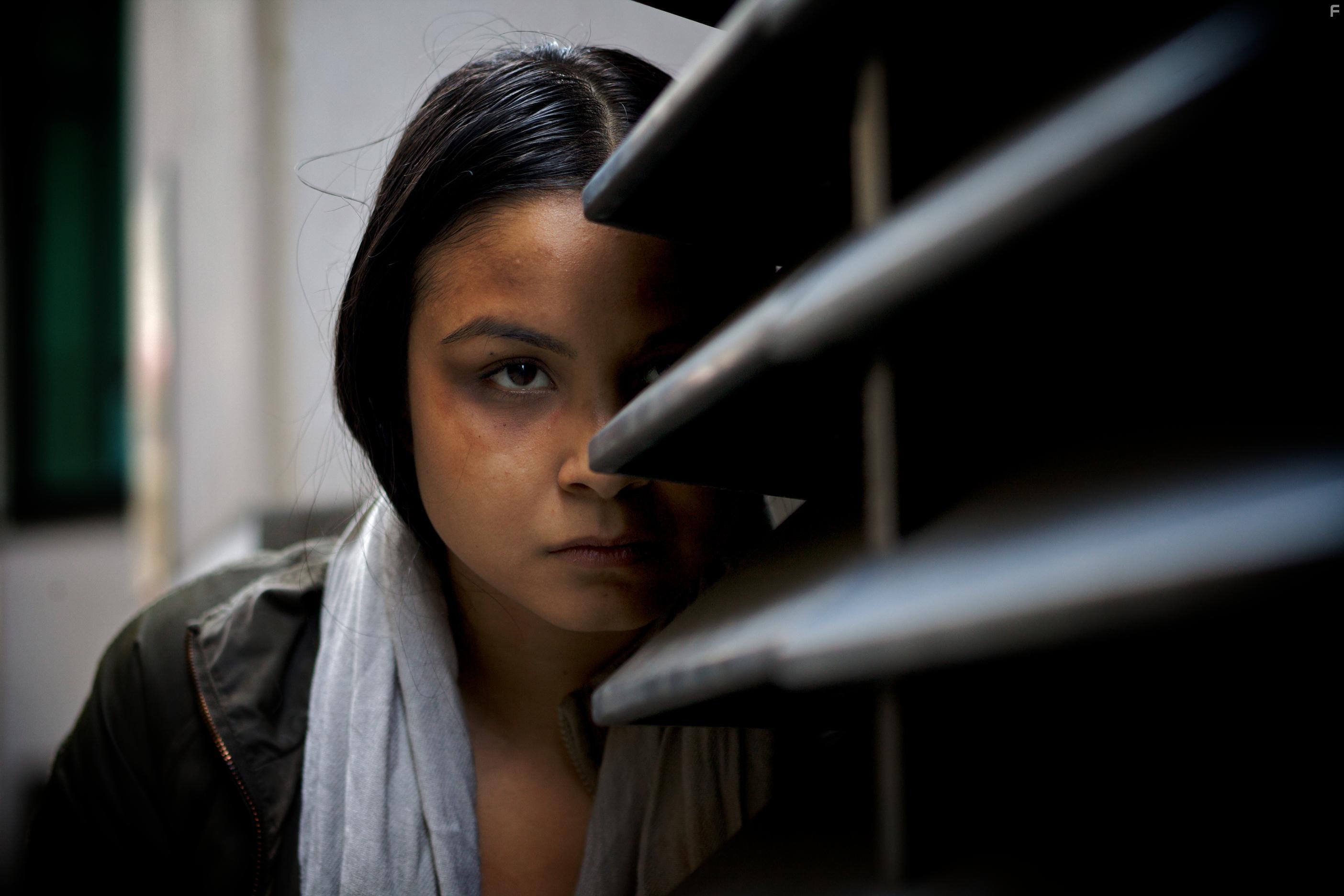 The Take Down (2017)