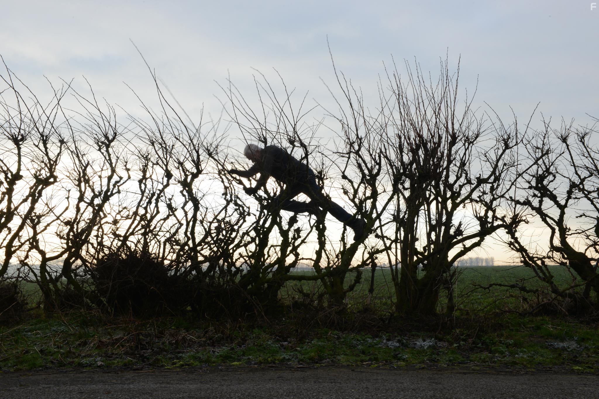 Andy Goldsworthy in Leaning Into the Wind: Andy Goldsworthy (2017)