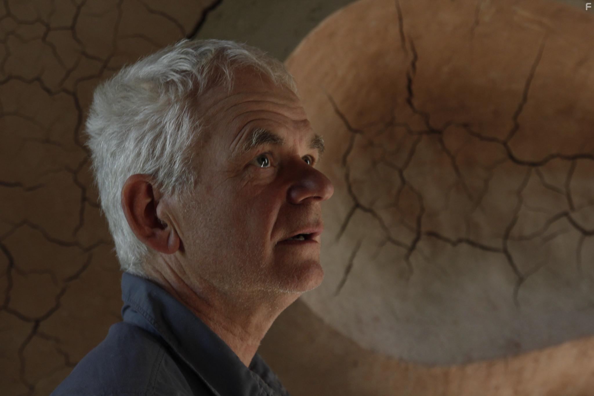 Andy Goldsworthy in Leaning Into the Wind: Andy Goldsworthy (2017)