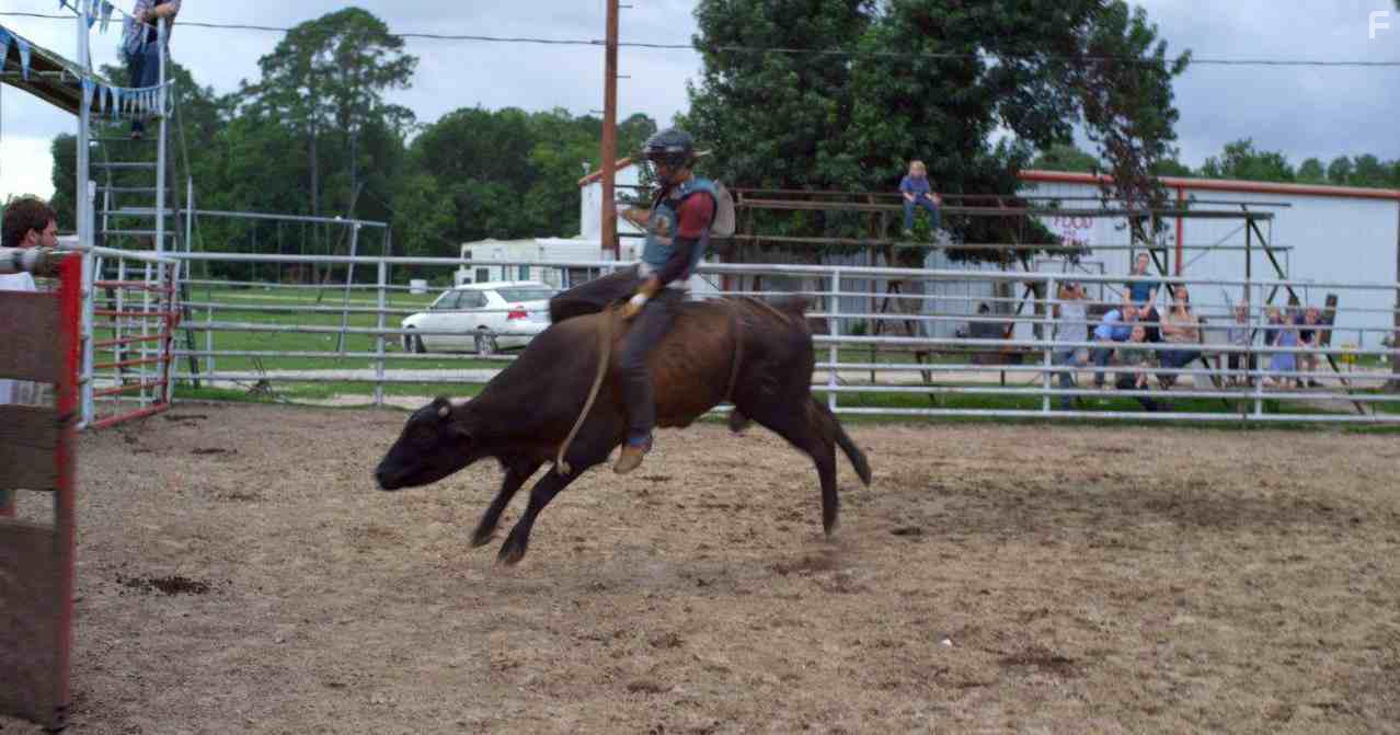 Stop the Pounding Heart (2013)
