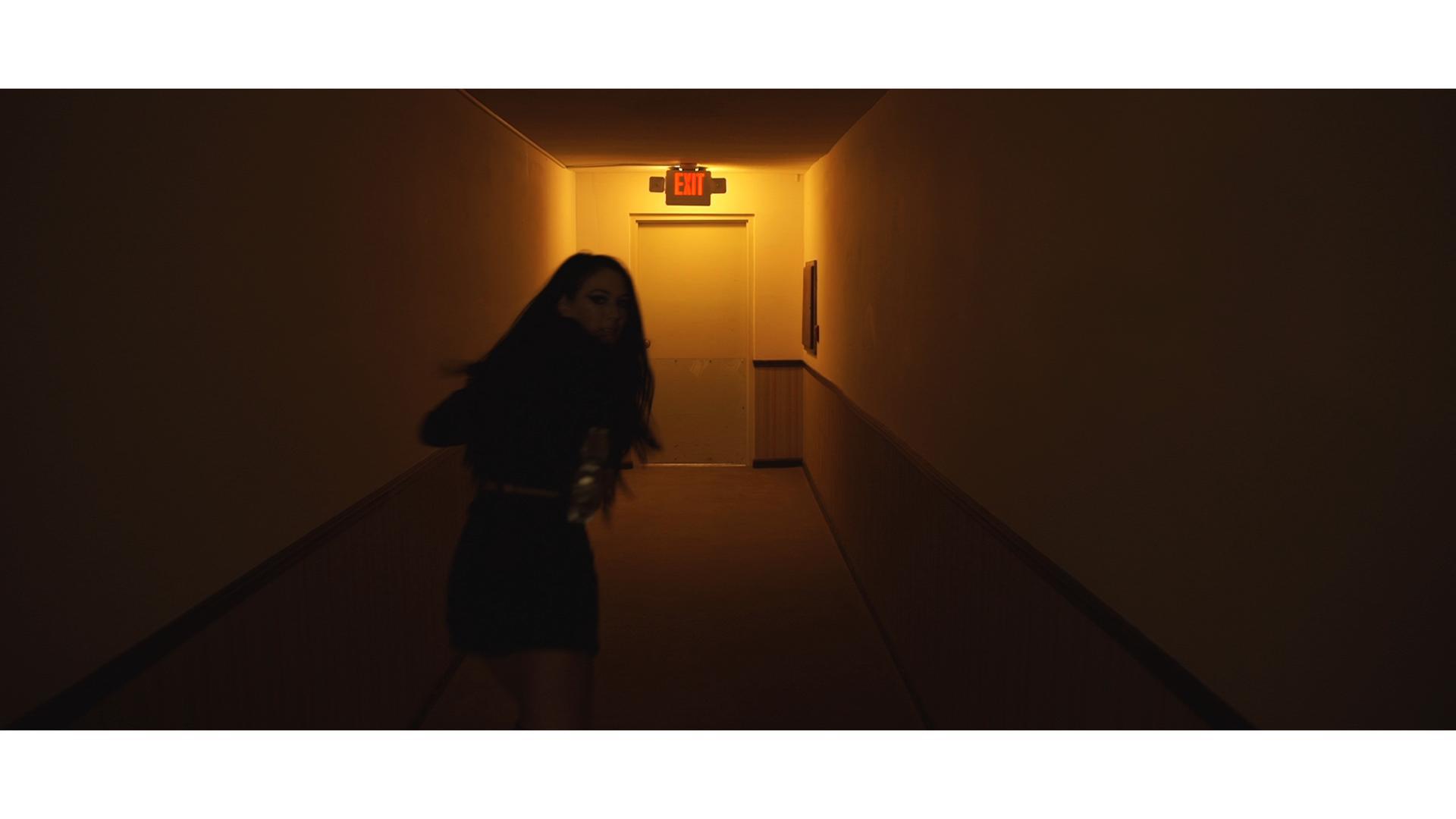 Nemesis 5: The New Model (2017)