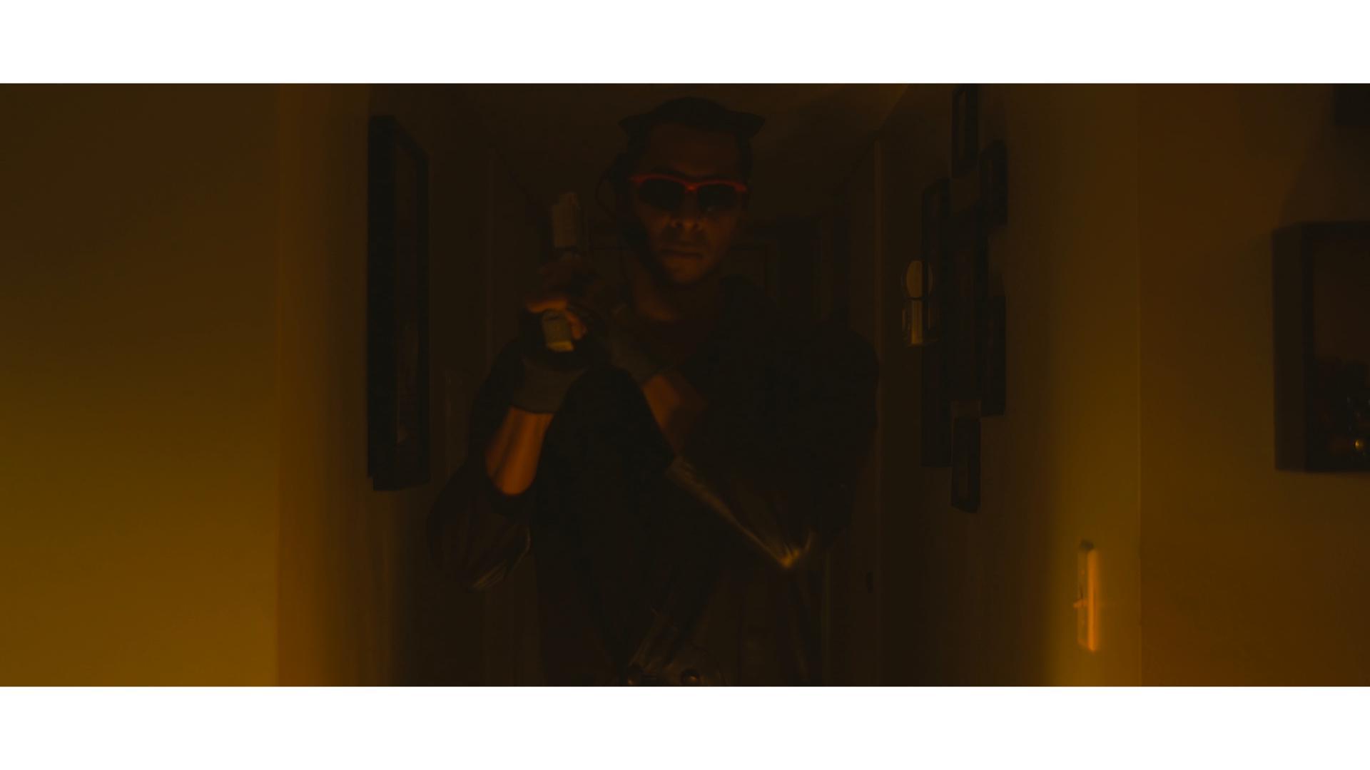 Nemesis 5: The New Model (2017)