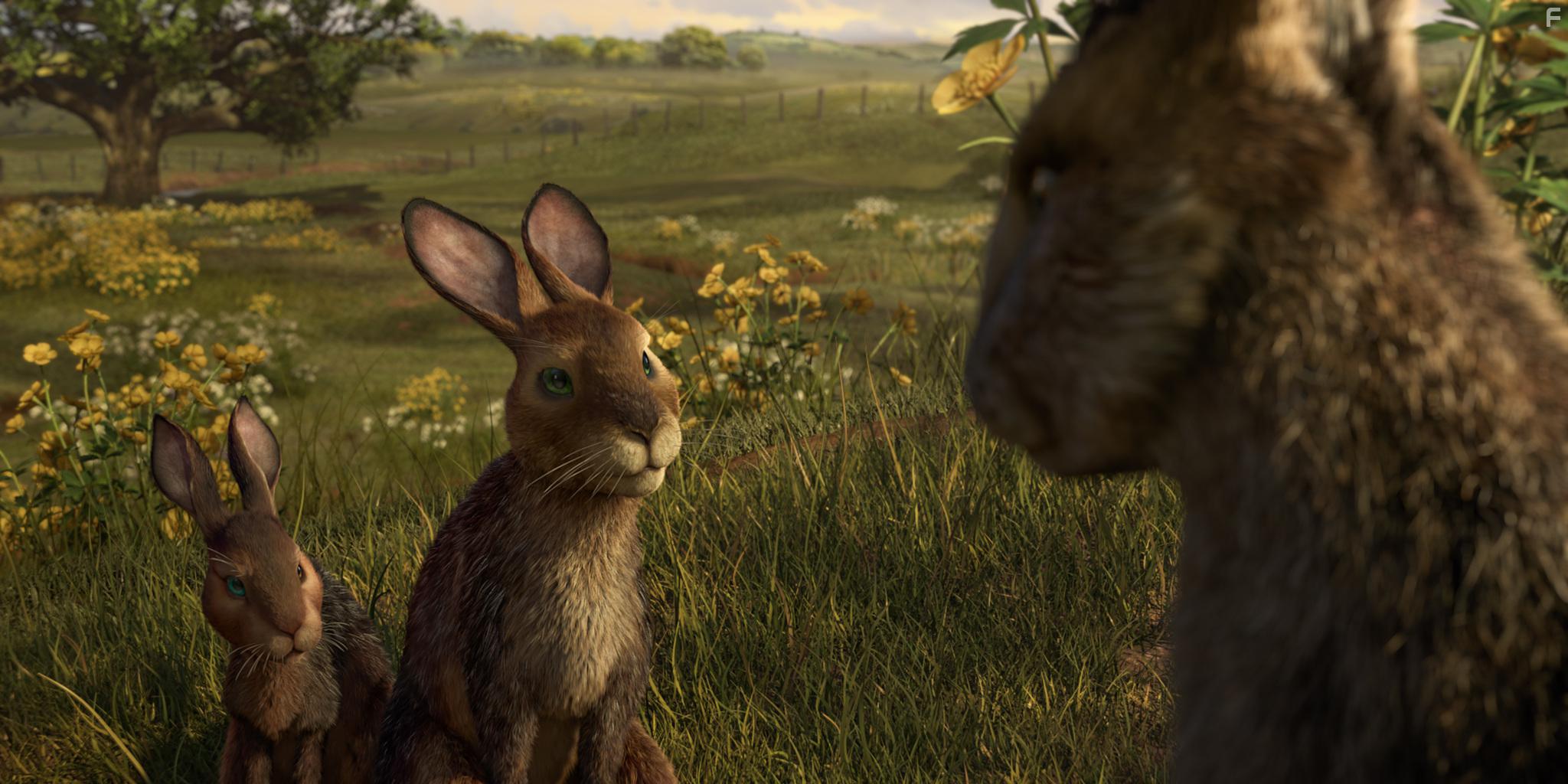 Nicholas Hoult, James McAvoy, and John Boyega in Watership Down (2018)