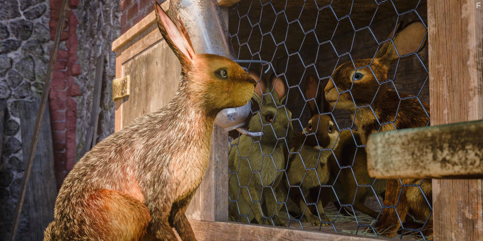 James McAvoy and Gemma Arterton in Watership Down (2018)