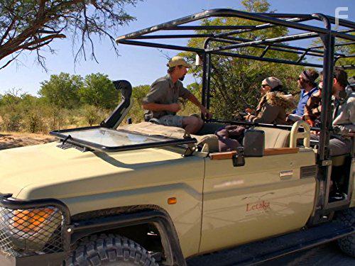 Safari Brothers (2016)