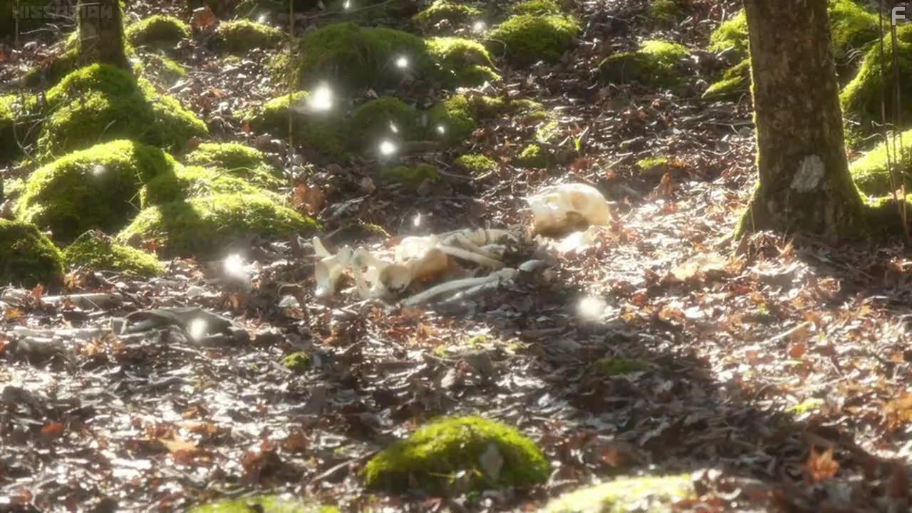 Кости, зарытые под ногами Сакурако