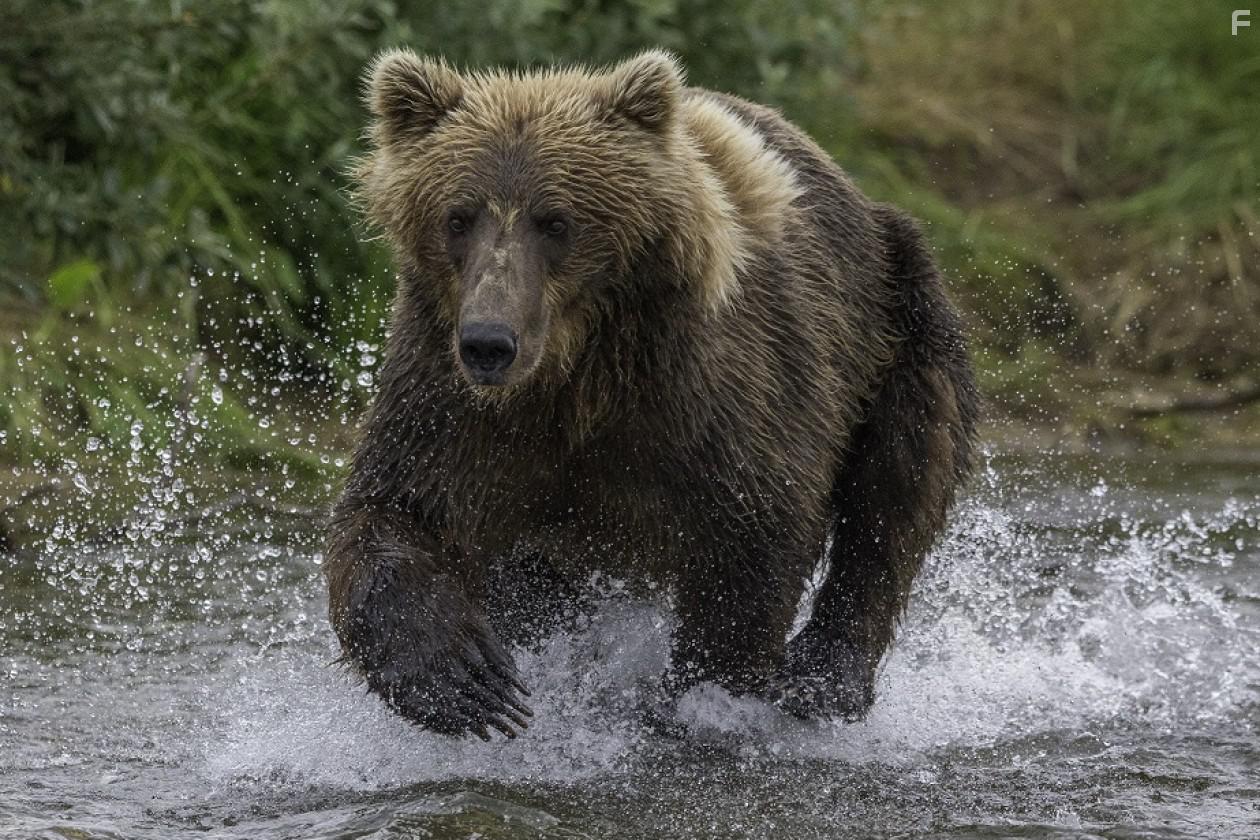 Сказки при свете