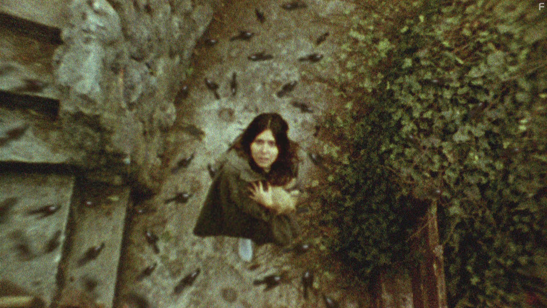 Diana Bovio in 1974: La posesin de Altair (2016)
