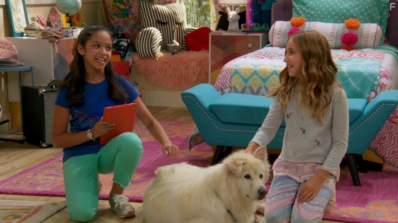 Sydney to the Max (2019)