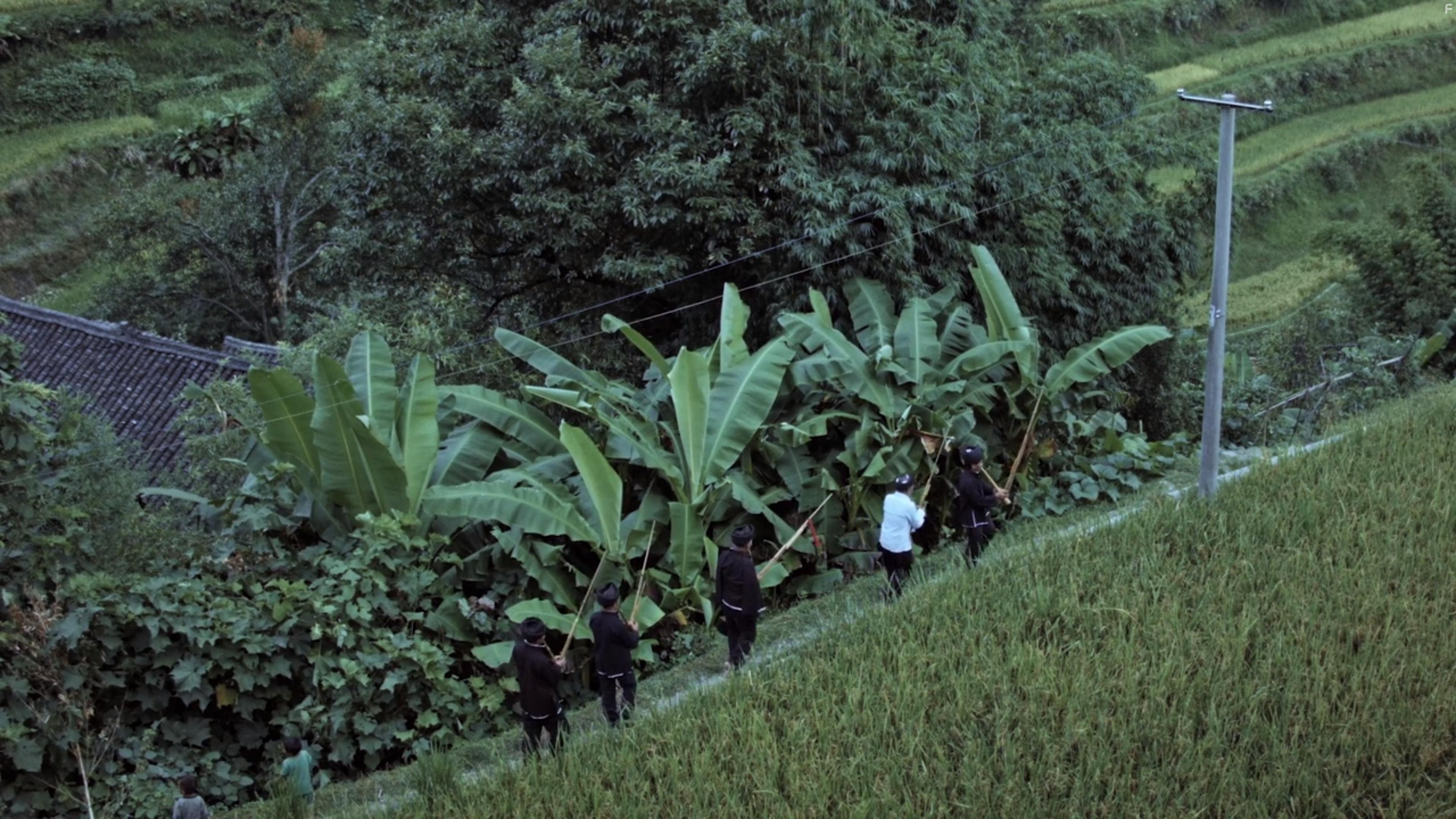 Lu bian ye can (2015)