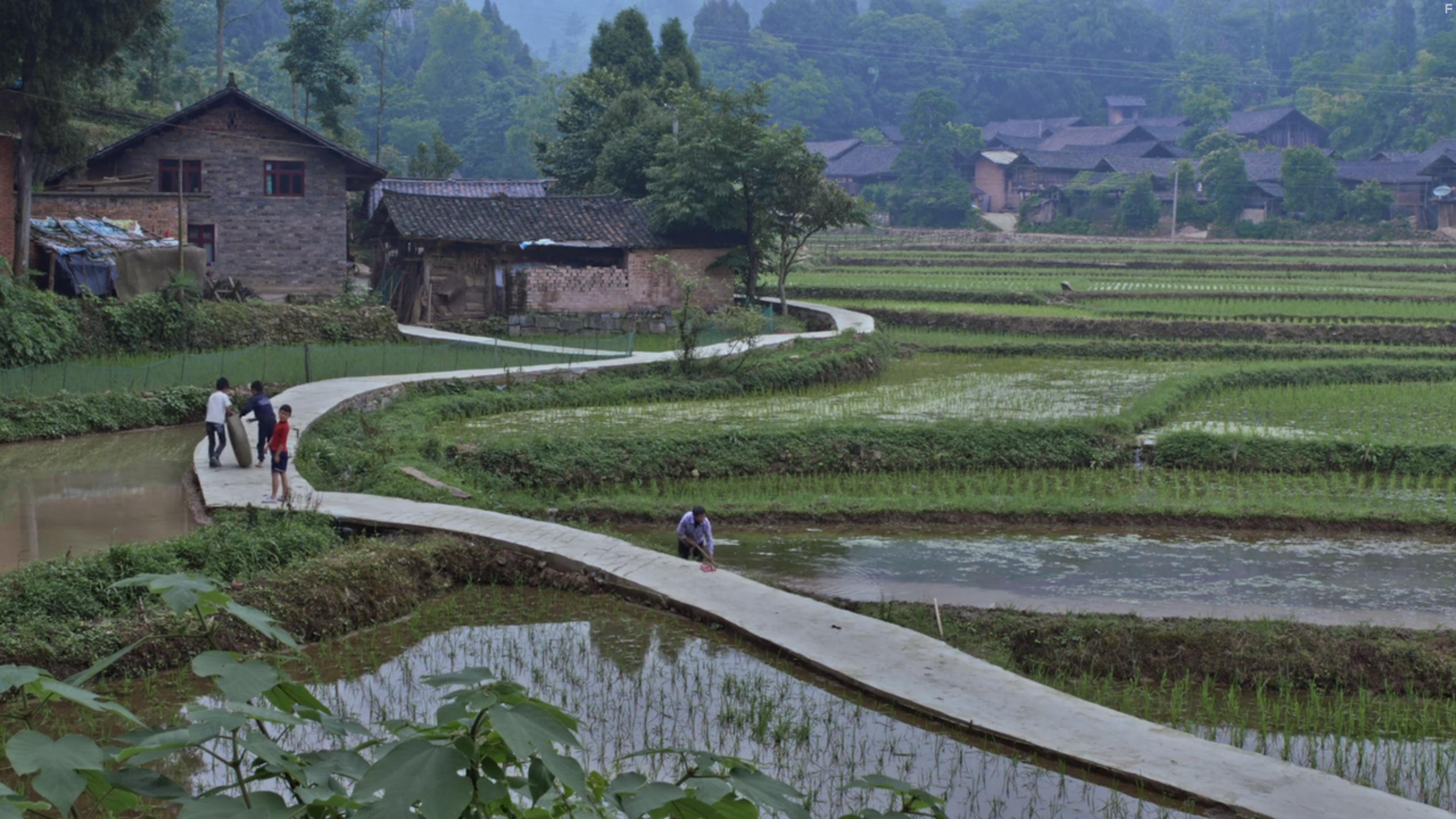 Lu bian ye can (2015)