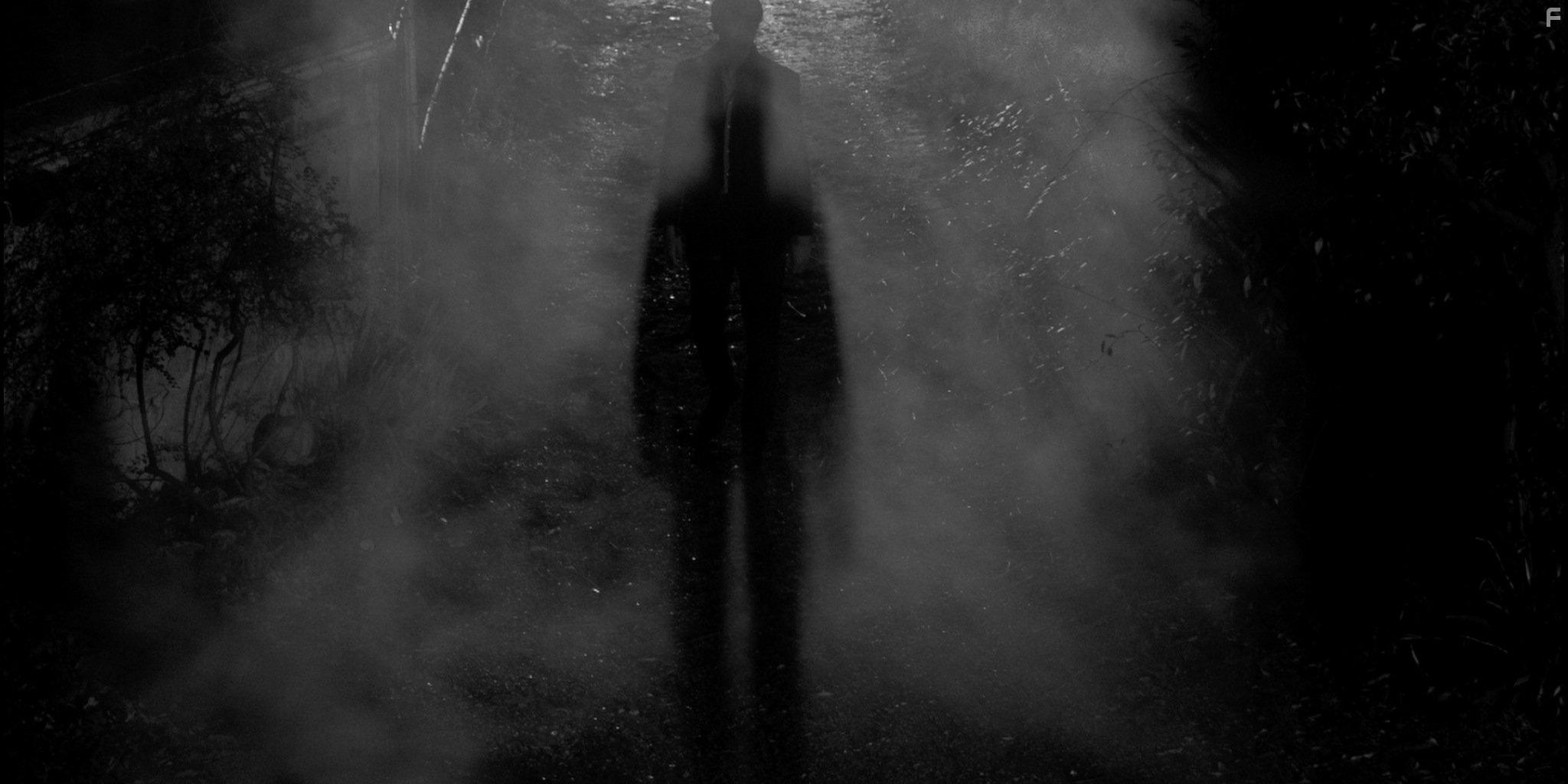 La Fille aux 2 visages (2016)