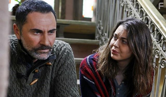 Zeytin Tepesi (2014)