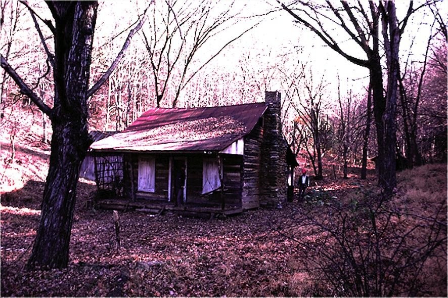 Зловещие мертвецы (1981)