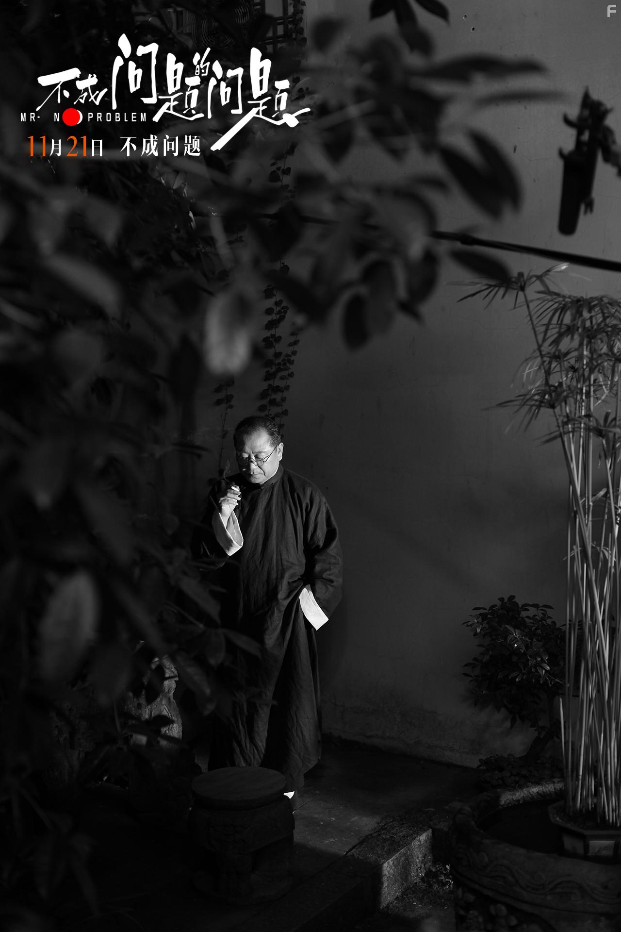 Wei Fan in Bu cheng wen ti de wen ti (2016)